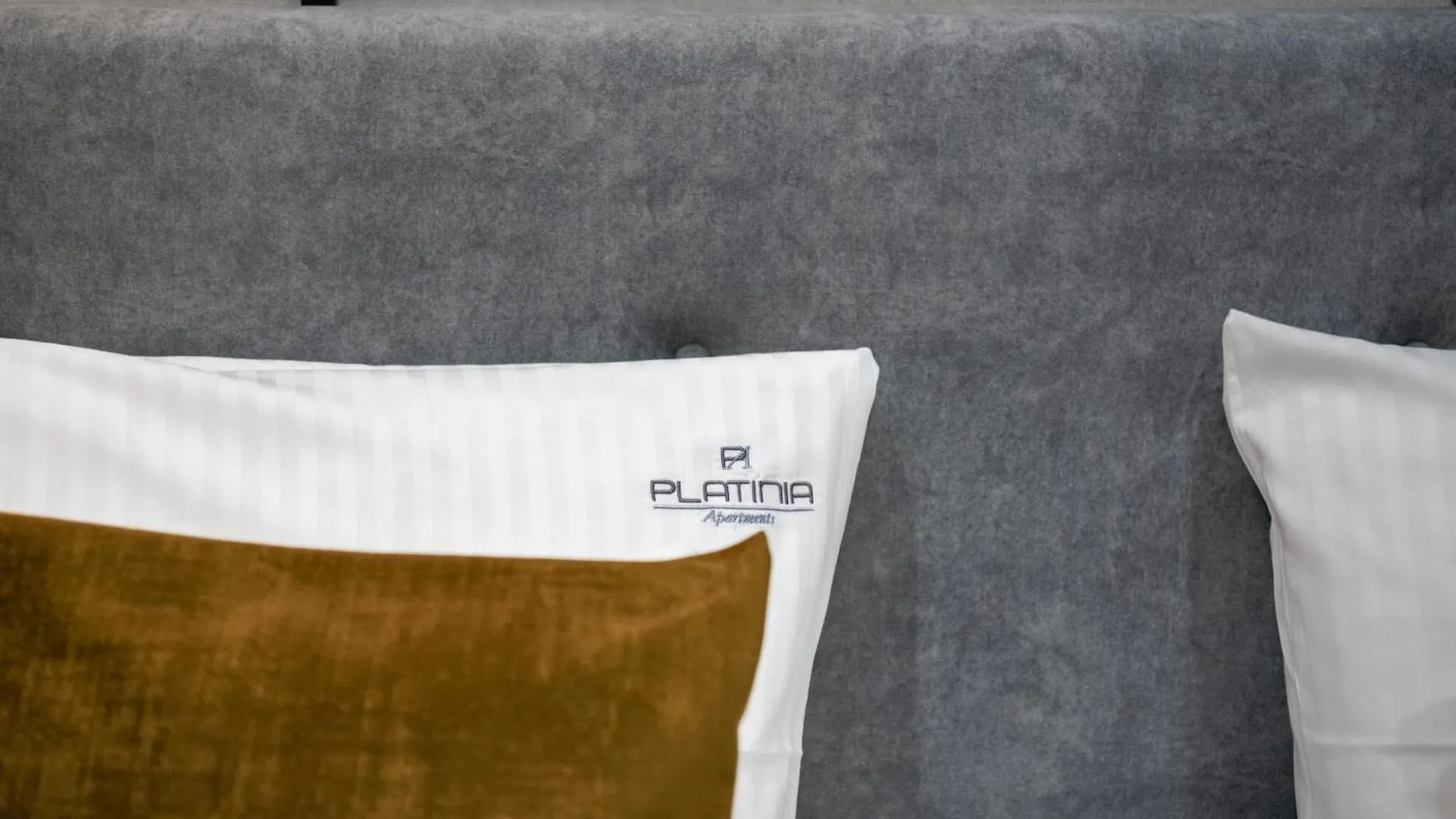 公寓式酒店 Platinia Premium Apartments 克拉科夫