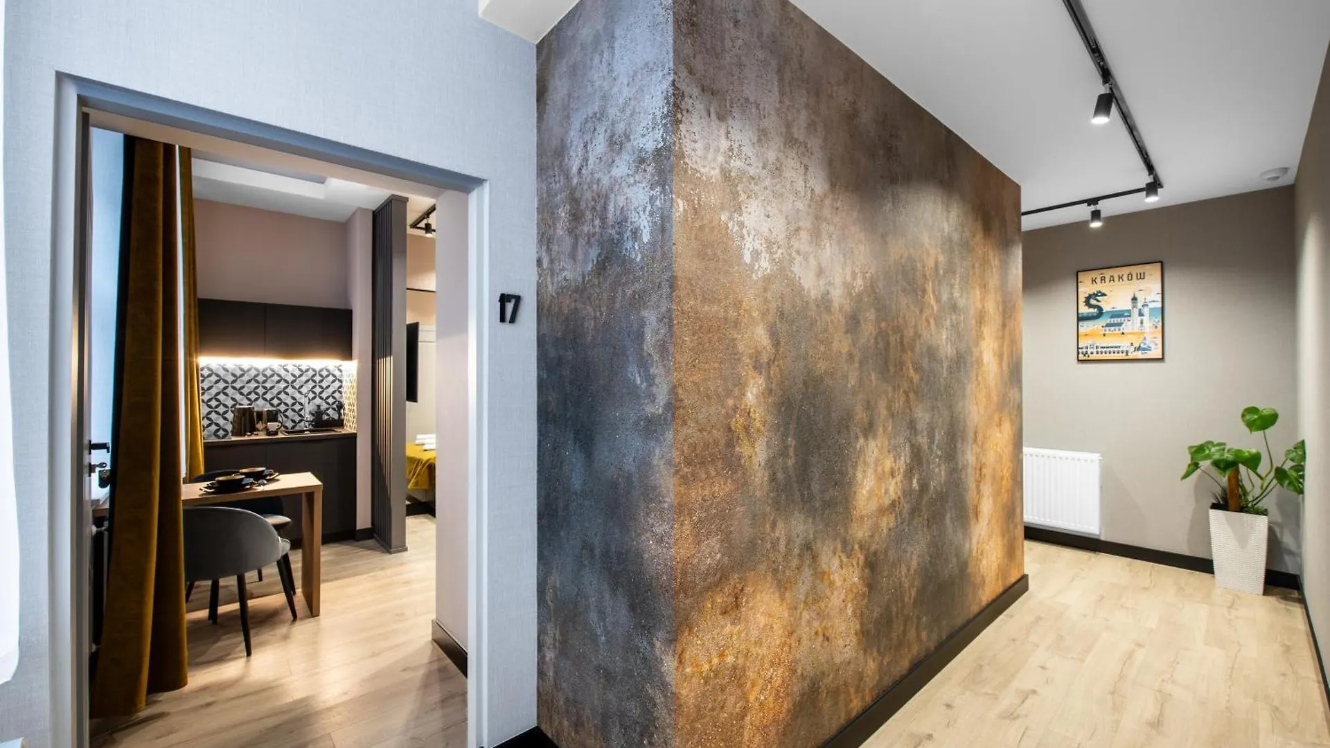 Platinia Premium Apartments 克拉科夫 波兰